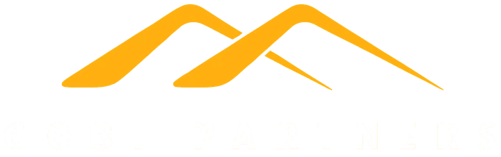 Gobi Partners official mark