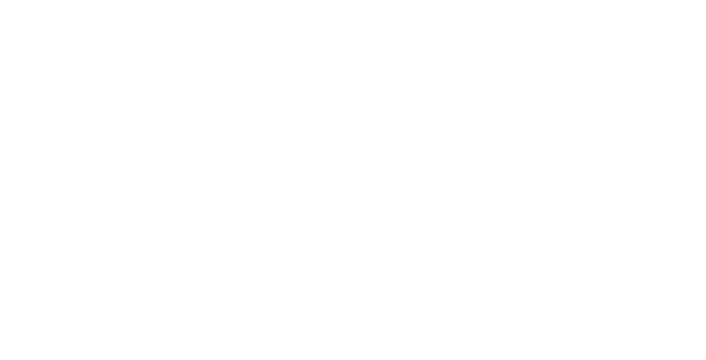 Vynn Capital official mark